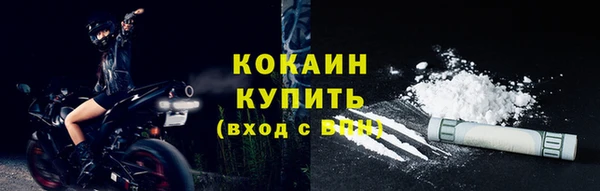 хмурый Абаза